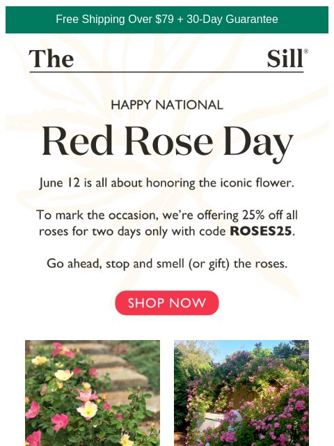 25% off for two days only! ͏ ͏ ͏ ͏ ͏ ͏ ͏ ͏ ͏ ͏ ͏ ͏ ͏ ͏ ͏ ͏ ͏ ͏ ͏ ͏ ͏ ͏ ͏ ͏ ͏ ͏ ͏ ͏ ͏ ͏ ͏ ͏ ͏ ͏ ͏ ͏ ͏ ͏ ͏ ͏ ͏ ͏ ͏ ͏ ͏ ͏ ͏ ͏ ͏ ͏ ͏ ͏ ͏ ͏ ͏ ͏ ͏ ͏ ͏ ͏ ͏ ͏ ͏ ͏ ͏ ͏ ͏ ͏ ͏ ͏ ͏ ͏ ͏ ͏ ͏ ͏ ͏ ͏ ͏ ͏ ͏ ͏ ͏ ͏ ͏ ͏ ͏