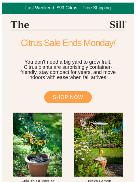thesill newsletter: ICYMI- the Citrus Sale ends Monday!