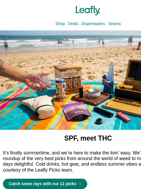 leafly newsletter: Your summer weed must-buys
