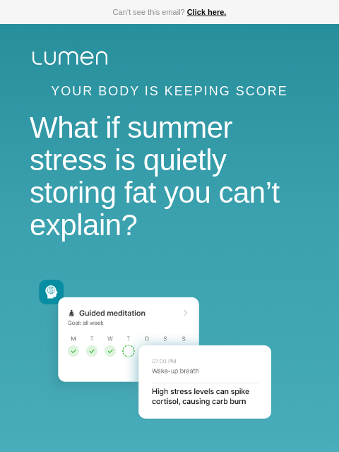 lumen newsletter: Why the stress you're brushing off in summer is si...