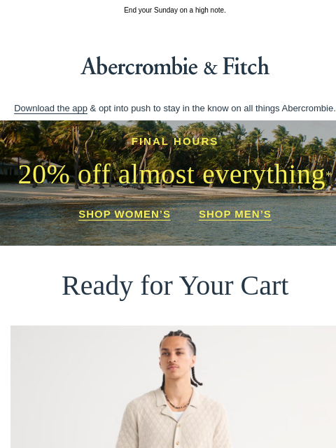 abercrombie newsletter: Only a few hours left for 20% OFF almost everythin...
