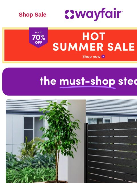 wayfair newsletter: BLACK OUTDOOR PRIVACY SCREENS 🔎 Find one that's a...