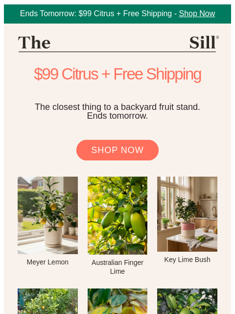 thesill newsletter: Final hours to become the neighbor with a lemon tr...