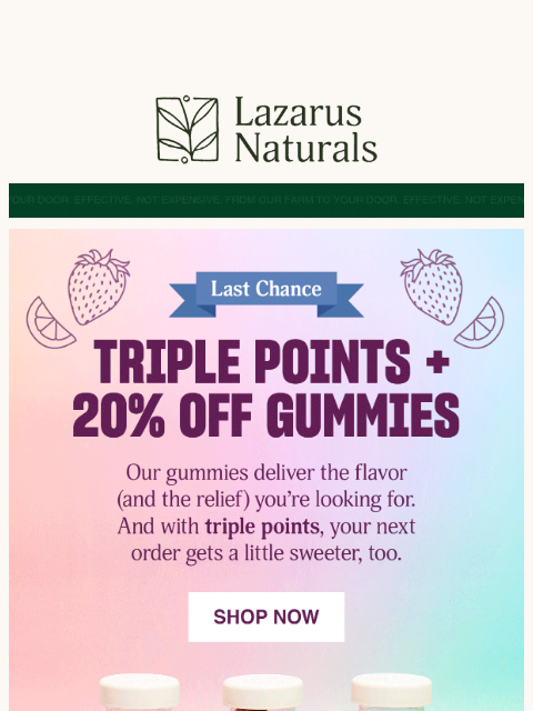 Final hours to grab your favorites and earn big. ͏ ͏ ͏ ͏ ͏ ͏ ͏ ͏ ͏ ͏ ͏ ͏ ͏ ͏ ͏ ͏ ͏ ͏ ͏ ͏ ͏ ͏ ͏ ͏ ͏ ͏ ͏ ͏ ͏ ͏ ͏ ͏ ͏ ͏ ͏ ͏ ͏ ͏ ͏ ͏ ͏ ͏ ͏ ͏ ͏ ͏ ͏ ͏ ͏ ͏ ͏ ͏ ͏ ͏ ͏ ͏ ͏ ͏ ͏ ͏ ͏ ͏ ͏ ͏ ͏ ͏ ͏ ͏ ͏ ͏ ͏ ͏ ͏ ͏ ͏ ͏
