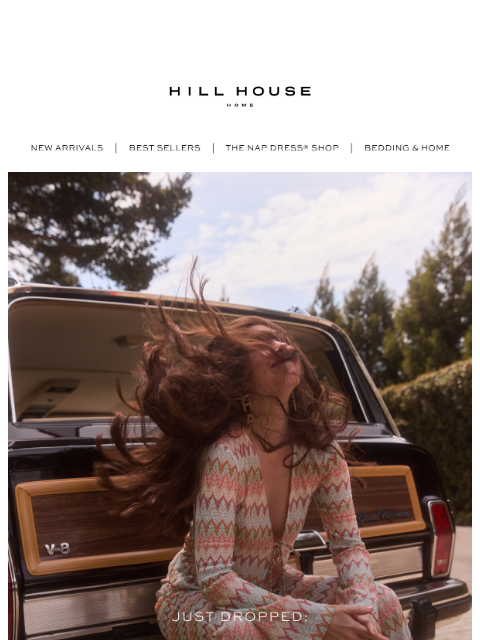 hillhousehome newsletter: JUST DROPPED: THE RAINBOW FISH CAPSULE