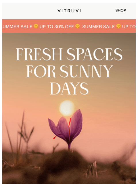 vitruvi newsletter: Summer Sale Starts NOW 🌞