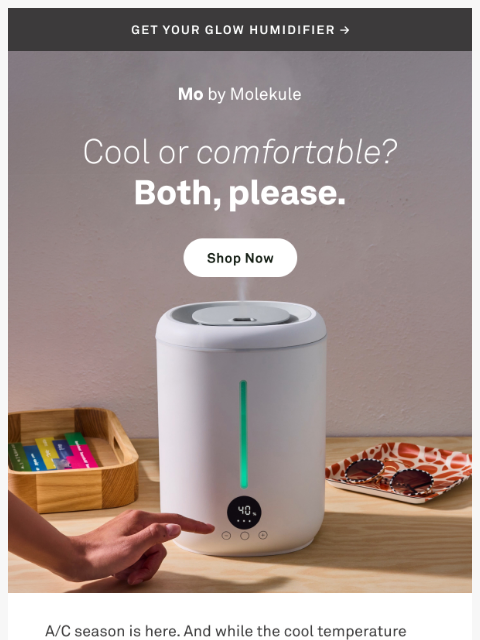 molekule newsletter: What’s The Cure For Dry A/C Air? 🤔