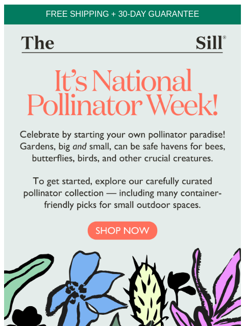 Meet our new collection of pollinator plants ͏ ͏ ͏ ͏ ͏ ͏ ͏ ͏ ͏ ͏ ͏ ͏ ͏ ͏ ͏ ͏ ͏ ͏ ͏ ͏ ͏ ͏ ͏ ͏ ͏ ͏ ͏ ͏ ͏ ͏ ͏ ͏ ͏ ͏ ͏ ͏ ͏ ͏ ͏ ͏ ͏ ͏ ͏ ͏ ͏ ͏ ͏ ͏ ͏ ͏ ͏ ͏ ͏ ͏ ͏ ͏ ͏ ͏ ͏ ͏ ͏ ͏ ͏ ͏ ͏ ͏ ͏ ͏ ͏ ͏ ͏ ͏ ͏ ͏ ͏ ͏ ͏ ͏