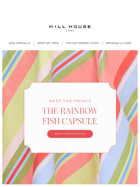 hillhousehome newsletter: MEET THE PRINTS 🌈🐠