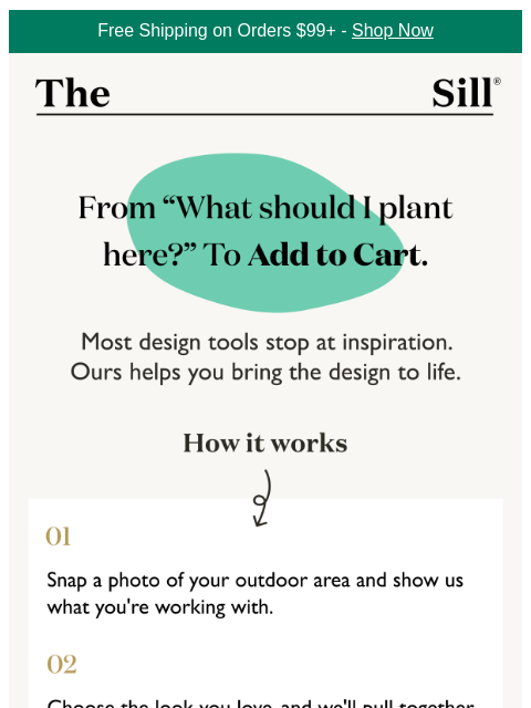 thesill newsletter: Let us bring your idea to life