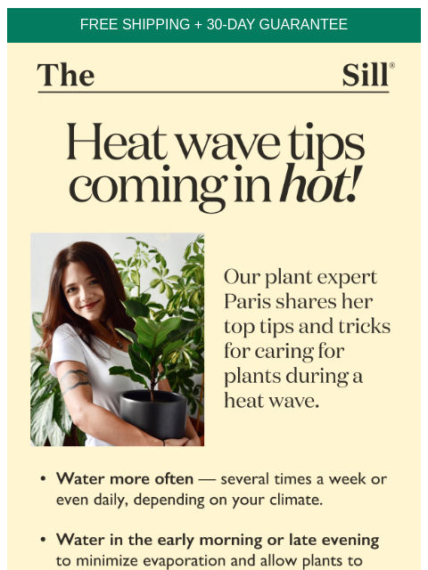 Our plant expert shares her tips ͏ ͏ ͏ ͏ ͏ ͏ ͏ ͏ ͏ ͏ ͏ ͏ ͏ ͏ ͏ ͏ ͏ ͏ ͏ ͏ ͏ ͏ ͏ ͏ ͏ ͏ ͏ ͏ ͏ ͏ ͏ ͏ ͏ ͏ ͏ ͏ ͏ ͏ ͏ ͏ ͏ ͏ ͏ ͏ ͏ ͏ ͏ ͏ ͏ ͏ ͏ ͏ ͏ ͏ ͏ ͏ ͏ ͏ ͏ ͏ ͏ ͏ ͏ ͏ ͏ ͏ ͏ ͏ ͏ ͏ ͏ ͏ ͏ ͏ ͏ ͏ ͏ ͏ ͏ ͏ ͏ ͏ ͏ ͏