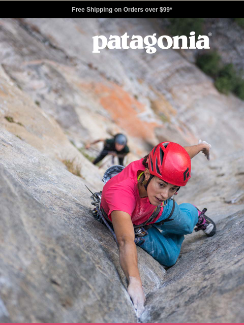 patagonia newsletter: A color story rooted in the wild