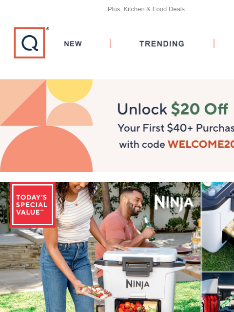 qvcemail newsletter: Ships Free! Ninja FrostVault Cooler + Get $20 Off