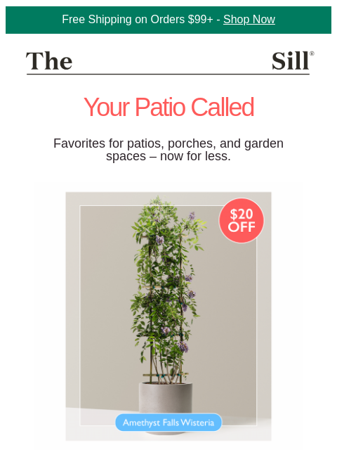thesill newsletter: Save big on 4 patio all-stars 🌟