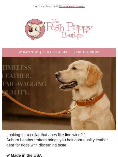 poshpuppyboutique newsletter: Luxury That Lasts: Auburn Leather Collars & Leashe...