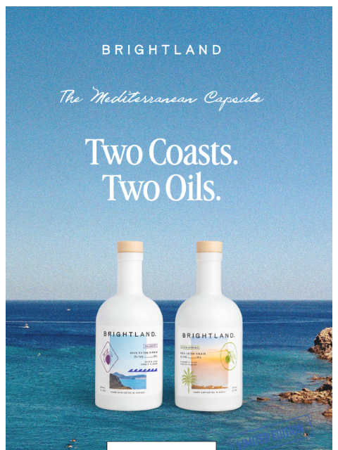 brightland newsletter: Your Favorite Snacking Oils, Pressed