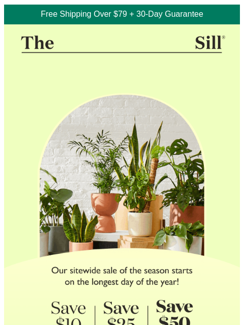 thesill newsletter: Up to 50% off sitewide – including sale!!!