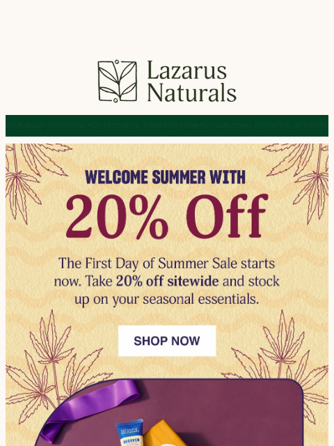 lazarusnaturals newsletter: ☀️ Hello Summer! 20% Off Everything Starts NOW