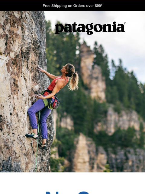 patagonia newsletter: Tech tees for hot days