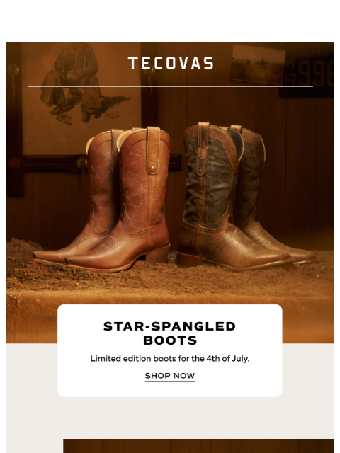 tecovas newsletter: Two NEW stars in town