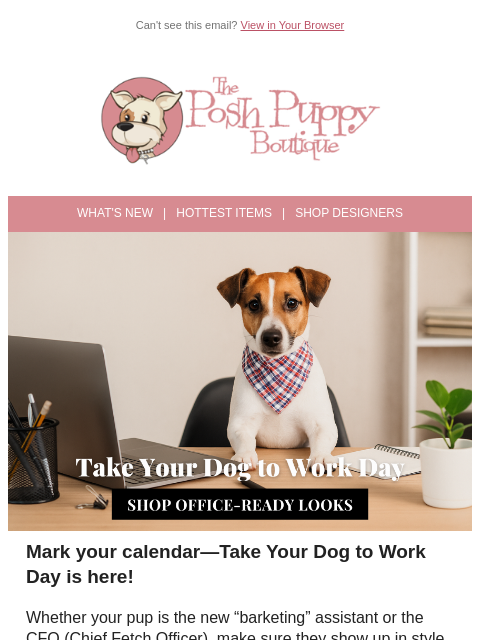 poshpuppyboutique newsletter: Is Your Pup Ready for the Office? 🐾💼