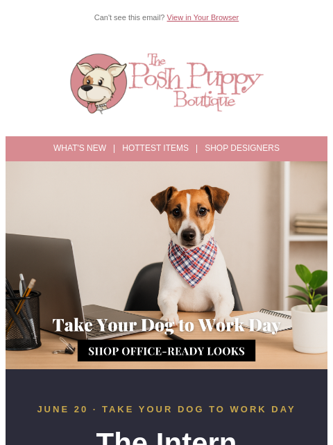 poshpuppyboutique newsletter: Today Is Take Your Dog to Work Day 🐾 Is Your Pup ...
