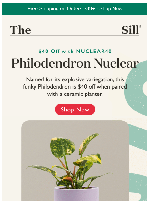 thesill newsletter: Pair with a planter for $40 off (!) while supplies...