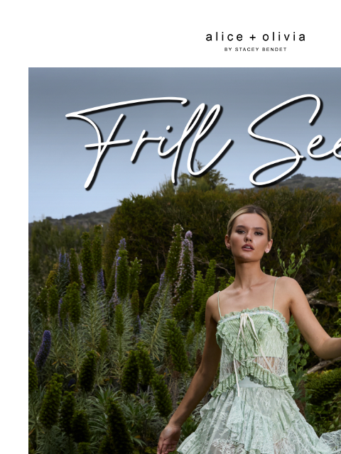 aliceandolivia newsletter: All About Lace