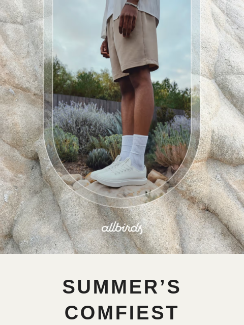 allbirds newsletter: Classic, Comfy, Just $90 🌞