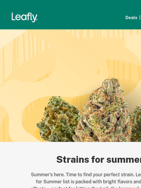 leafly newsletter: 😎 Your summer strain guide