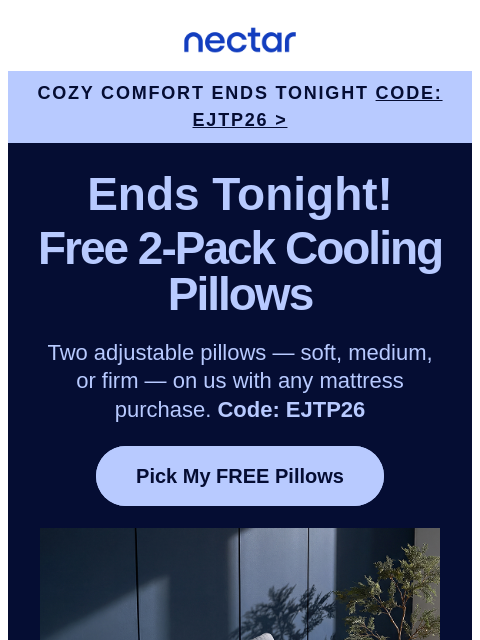 nectarsleep newsletter: Last Call 📢: 2 FREE Tri-Comfort Pillows w/Mattres...