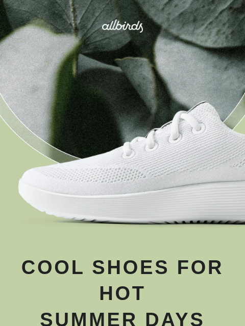 allbirds newsletter: Sunshine-Ready Sneaks 🌞