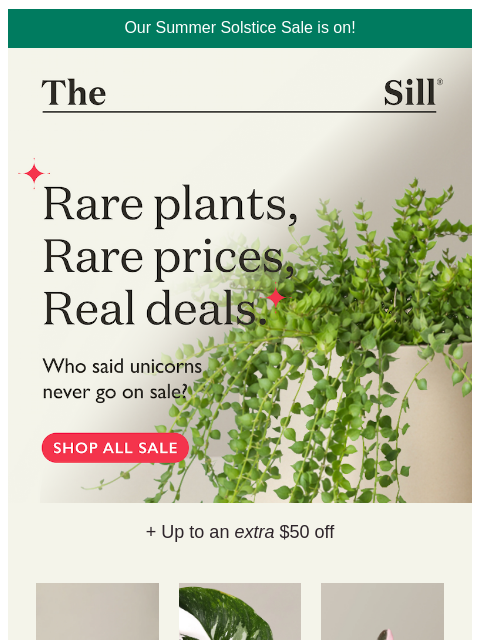 thesill newsletter: Tonight: Rare Savings on Rare Plants