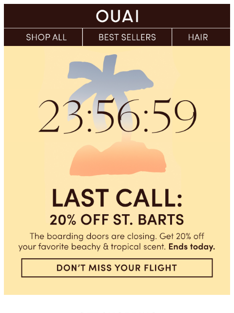 theouai newsletter: FINAL HOURS