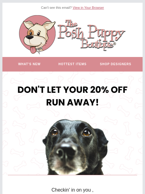 🐶 Your Discount Expires today! Pamper Your Pup Now! ͏ ͏ ͏ ͏ ͏ ͏ ͏ ͏ ͏ ͏ ͏ ͏ ͏ ͏ ͏ ͏ ͏ ͏ ͏ ͏ ͏ ͏ ͏ ͏ ͏ ͏ ͏ ͏ ͏ ͏ ͏ ͏ ͏ ͏ ͏ ͏ ͏ ͏ ͏ ͏ ͏ ͏ ͏ ͏ ͏ ͏ ͏ ͏ ͏ ͏ ͏ ͏ ͏ ͏ ͏ ͏ ͏ ͏ ͏ ͏ ͏ ͏ ͏ ͏ ͏ ͏ ͏ ͏ ͏ ͏ ͏ ͏ ͏ ͏ ͏