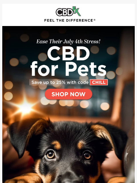 Get up to 25% OFF CBD pet products & more... ͏ ͏ ͏ ͏ ͏ ͏ ͏ ͏ ͏ ͏ ͏ ͏ ͏ ͏ ͏ ͏ ͏ ͏ ͏ ͏ ͏ ͏ ͏ ͏ ͏ ͏ ͏ ͏ ͏ ͏ ͏ ͏ ͏ ͏ ͏ ͏ ͏ ͏ ͏ ͏ ͏ ͏ ͏ ͏ ͏ ͏ ͏ ͏ ͏ ͏ ͏ ͏ ͏ ͏ ͏ ͏ ͏ ͏ ͏ ͏ ͏ ͏ ͏ ͏ ͏ ͏ ͏ ͏ ͏ ͏ ͏ ͏ ͏ ͏ ͏ ͏