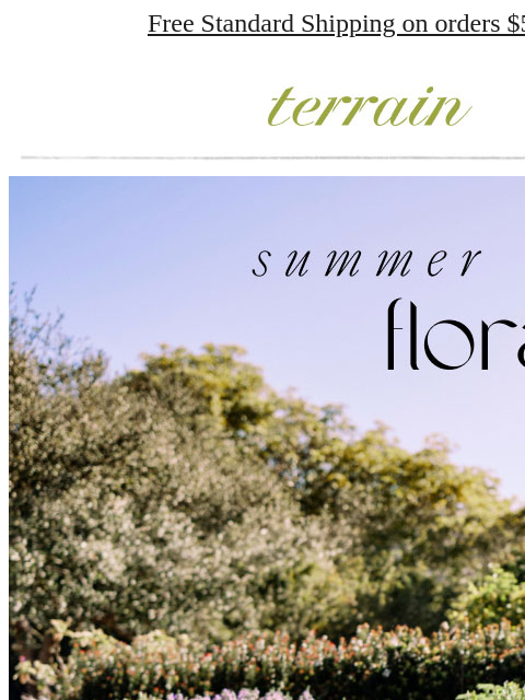 shopterrain newsletter: SUMMER PARTIES MADE SIMPLE