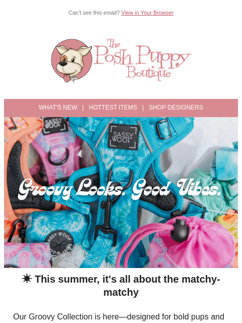 poshpuppyboutique newsletter: Groovy Gear for Summer Walks ☀️🐾