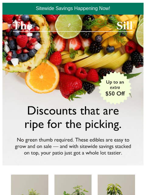 thesill newsletter: Grow your own and save 🫐🍒🍋