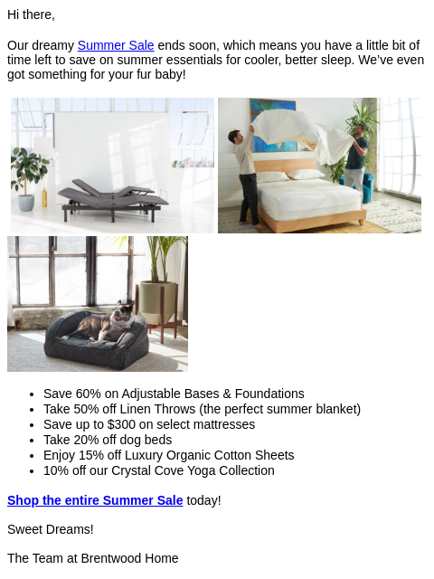 brentwoodhome newsletter: Shop our dreamy summer of savings