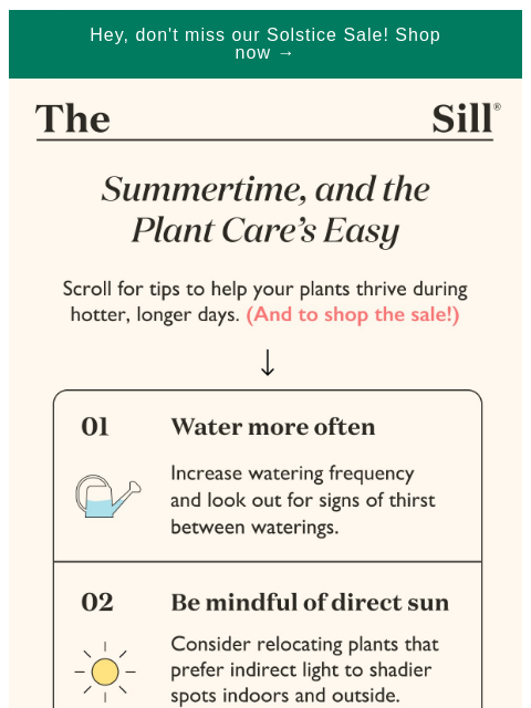 Here's how to keep them alive ͏ ͏ ͏ ͏ ͏ ͏ ͏ ͏ ͏ ͏ ͏ ͏ ͏ ͏ ͏ ͏ ͏ ͏ ͏ ͏ ͏ ͏ ͏ ͏ ͏ ͏ ͏ ͏ ͏ ͏ ͏ ͏ ͏ ͏ ͏ ͏ ͏ ͏ ͏ ͏ ͏ ͏ ͏ ͏ ͏ ͏ ͏ ͏ ͏ ͏ ͏ ͏ ͏ ͏ ͏ ͏ ͏ ͏ ͏ ͏ ͏ ͏ ͏ ͏ ͏ ͏ ͏ ͏ ͏ ͏ ͏ ͏ ͏ ͏ ͏ ͏ ͏ ͏ ͏ ͏ ͏ ͏ ͏ ͏