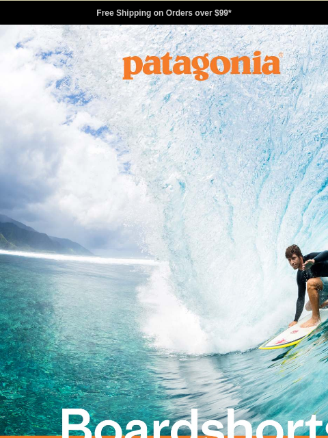 patagonia newsletter: Performance boardshorts that last
