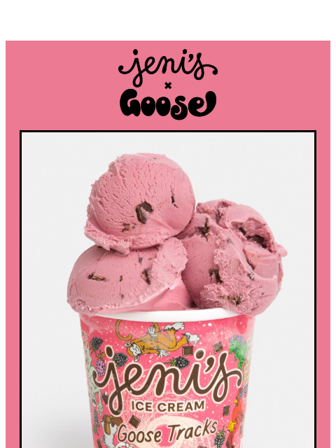 jenis newsletter: New! GOOSE TRACKS