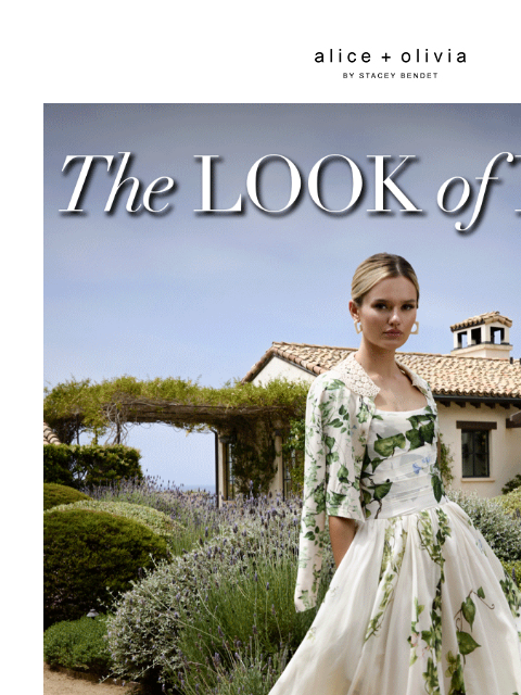 aliceandolivia newsletter: Summer Romance 💐