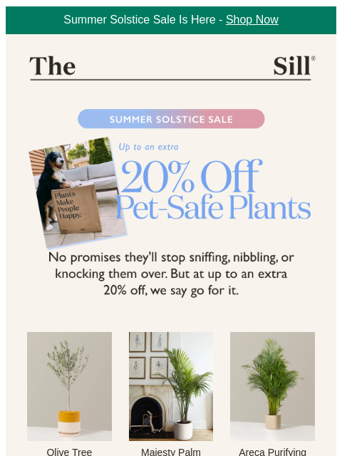 thesill newsletter: Because your cat thinks every plant is theirs