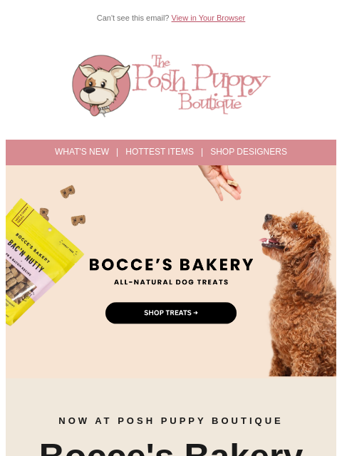 poshpuppyboutique newsletter: 🐾 Treats Your Pup Will Beg For — Bocce's Bakery i...