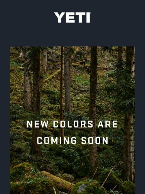 yeti newsletter: Gain Early Access To Our Next Color Drop