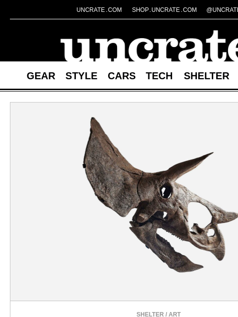 uncrate newsletter: Sofia the Sub-Adult Triceratops Skull & more