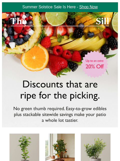 thesill newsletter: Grow your own and save 🫐🍒🍋