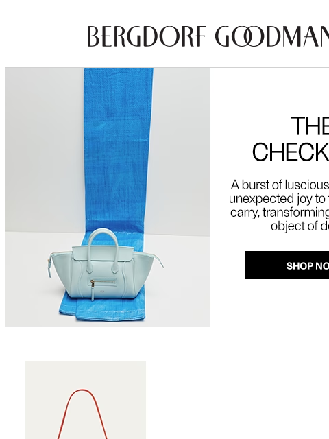 bergdorfgoodman newsletter: Color Theory: The It Bags of Summer